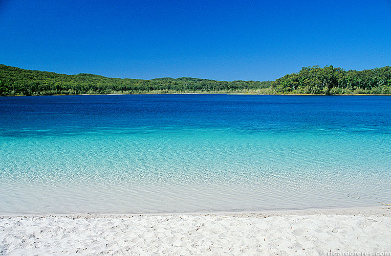 Lago McKenzie