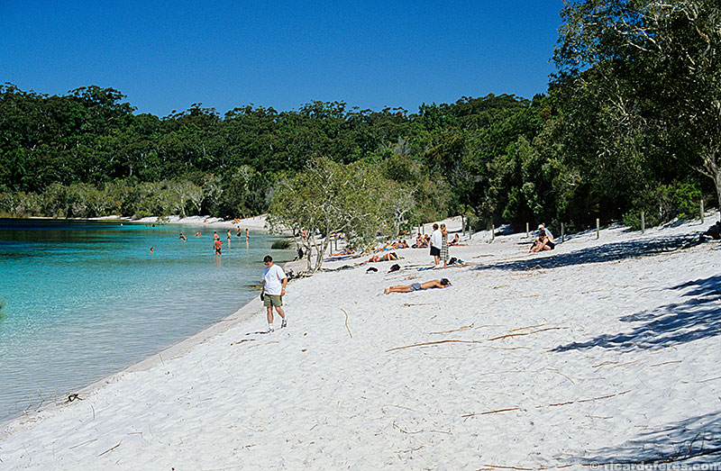 Lago McKenzie