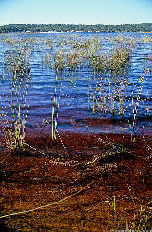 Lago Boomanjin