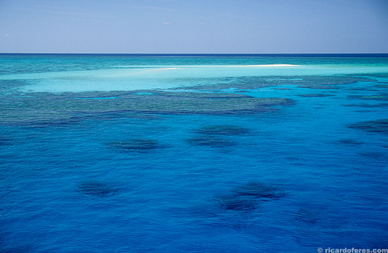 No meio do azul, a mais de 200 km da costa australiana, surgem recifes como o Flinders.