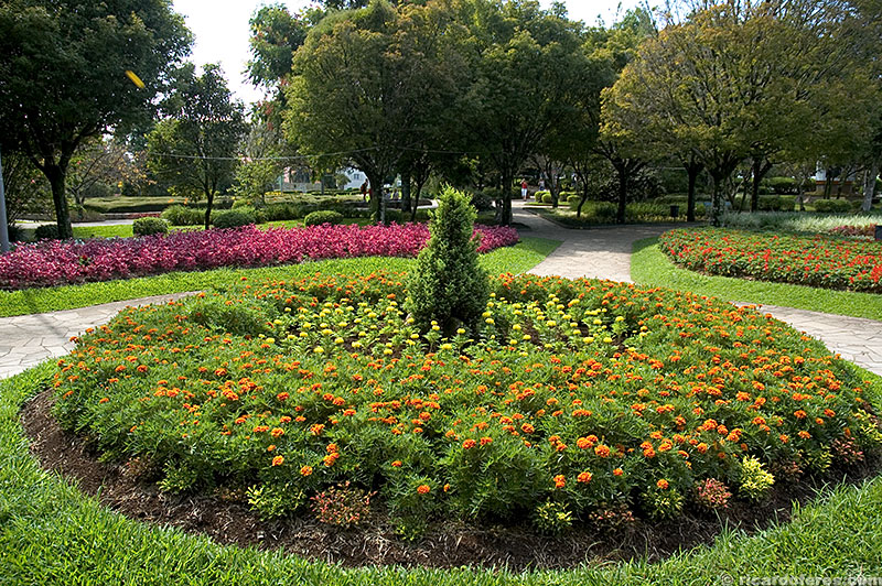 Praça das Flores