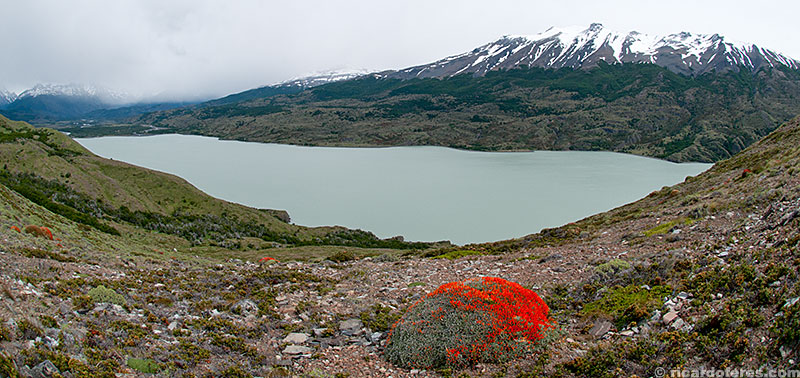 Lago Paine