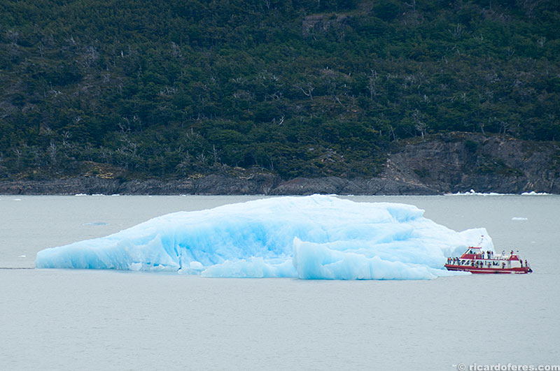 Iceberg que se desprendeu do glaciar Grey