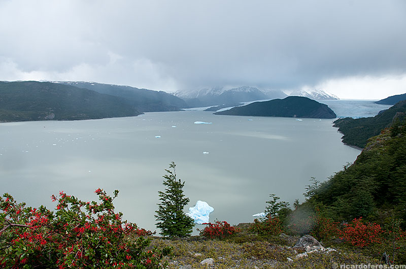 Glaciar e lago Grey