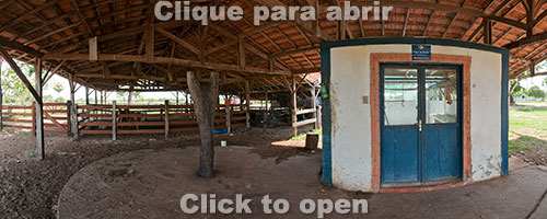 nhumirim-1-miniatura