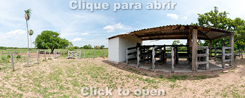 nhumirim-3-miniatura